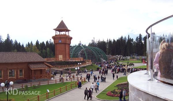 зверята и ребята: лучшие зоопарки россии фото 5