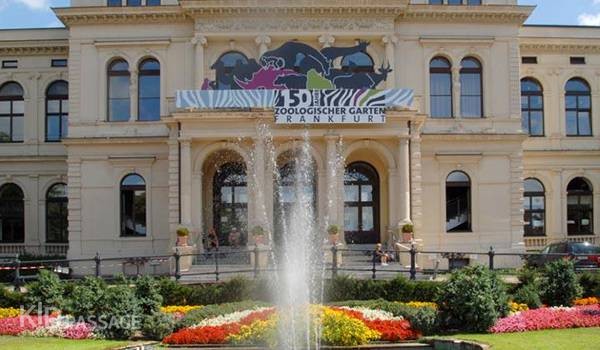 детские маршруты: франкфурт-на-майне фото 4