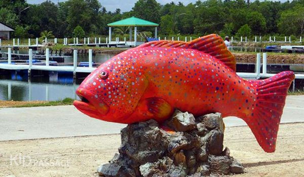 чем заняться с детьми в краби? фото 3