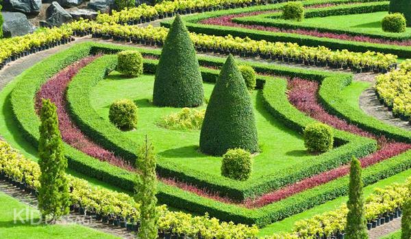 пять лучших семейных развлечений паттайи фото 3