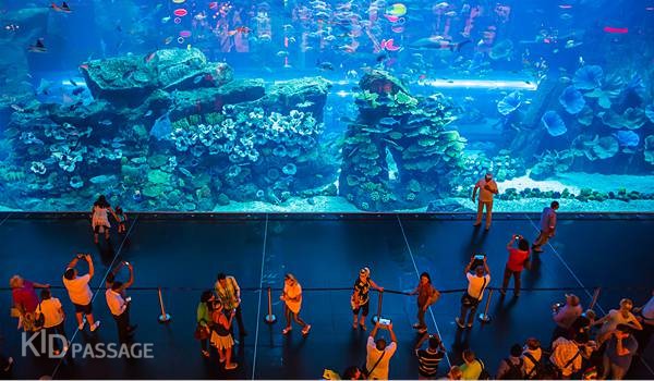 топ-5 экскурсий с детьми в дубае