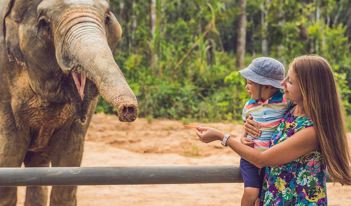 9 интересных фактов о бангкоке фото 4