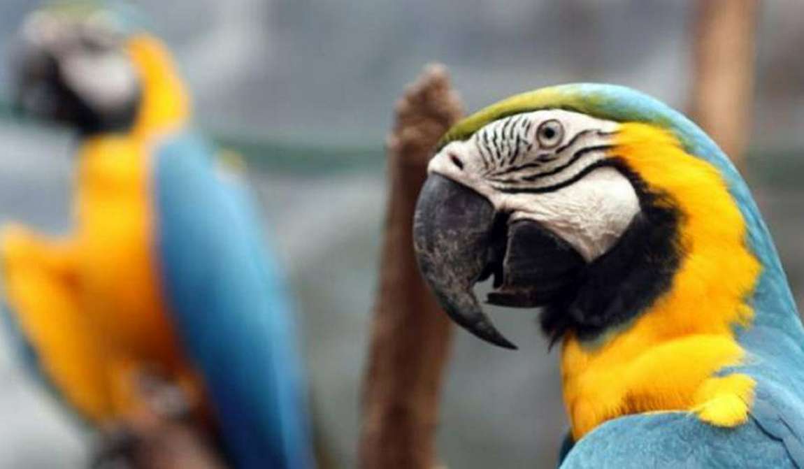 детские маршруты: мадрид фото 5