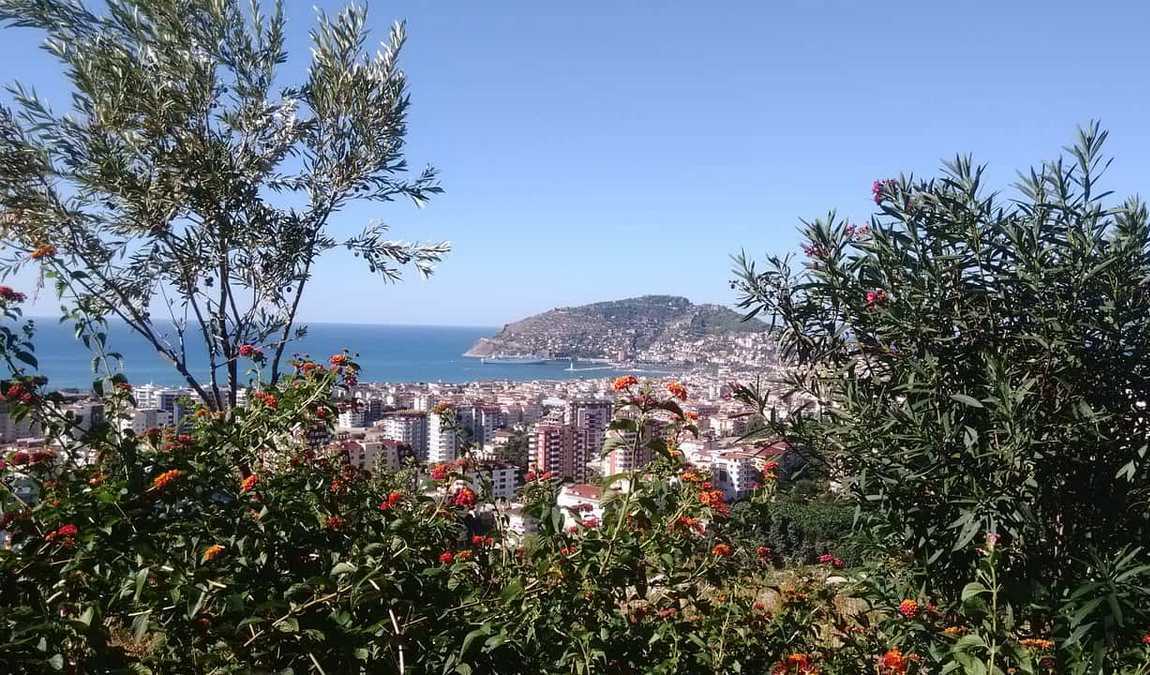 Погода в Аланье в июле