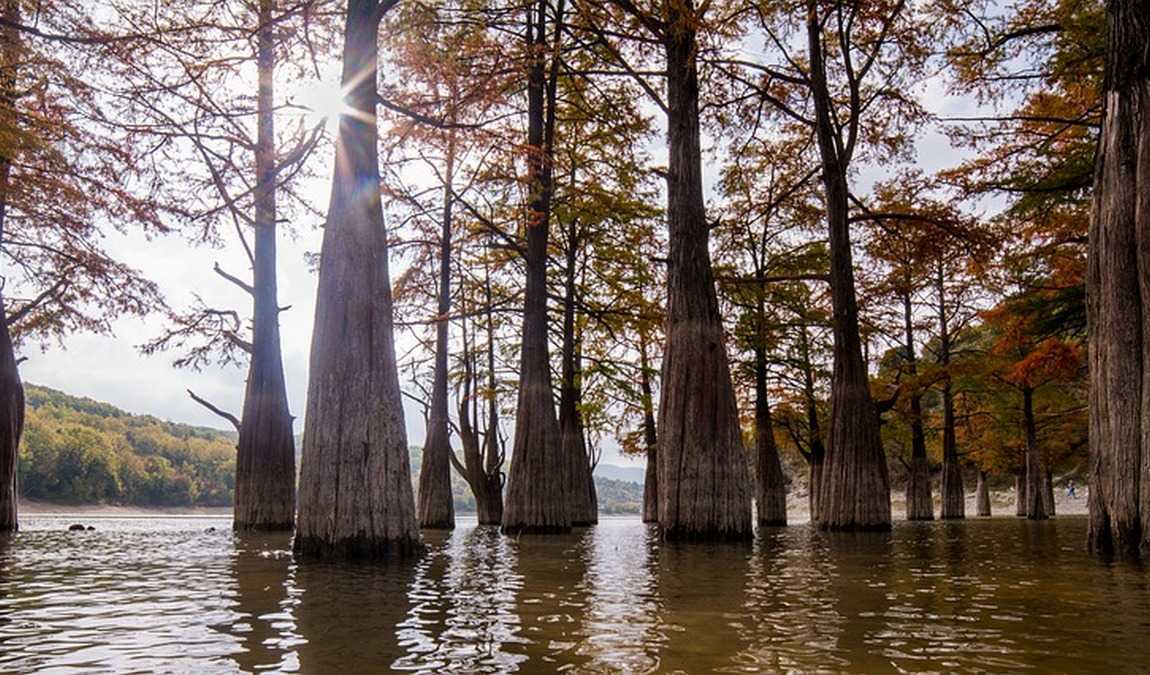 Экскурсионный отдых в Анапе: Кипарисовое озеро в Сукко