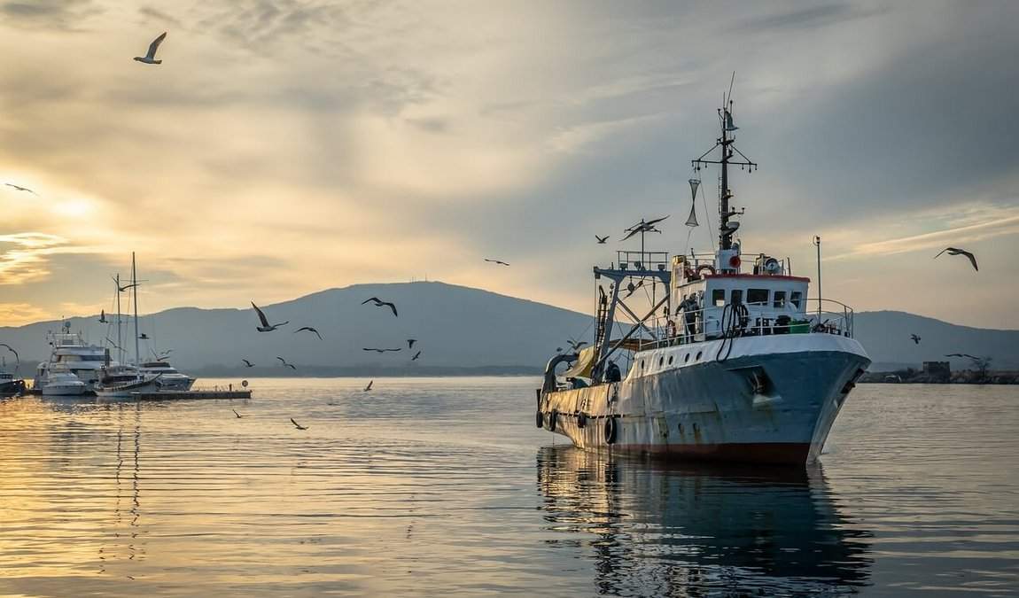 Рекомендации для поездки с детьми в Болгарию