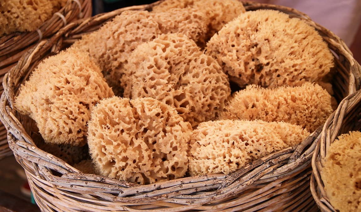 Натуральные губки для тела как пример подарка из Бодрума