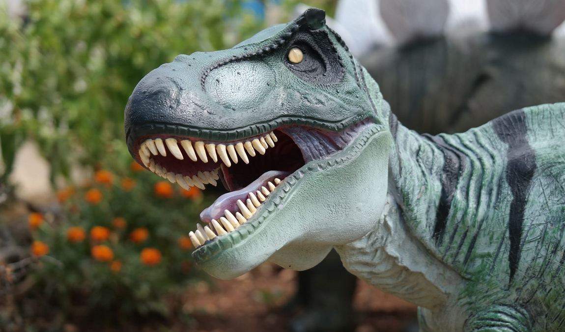 Развлечения для детей в Хорватии