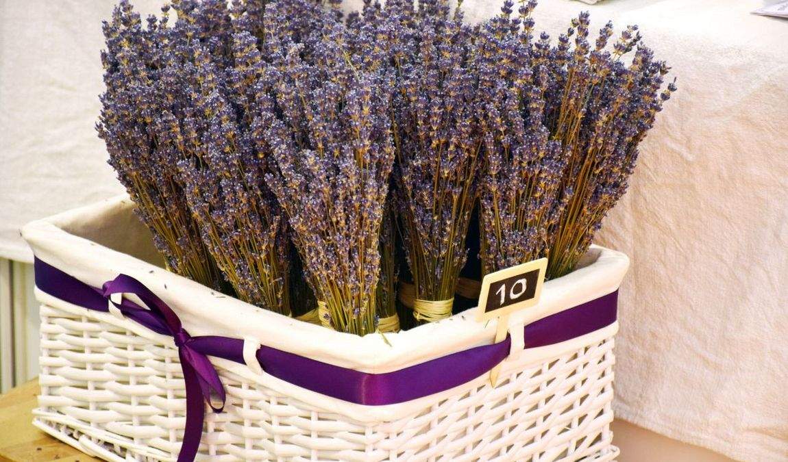 Шопинг в Хорватии