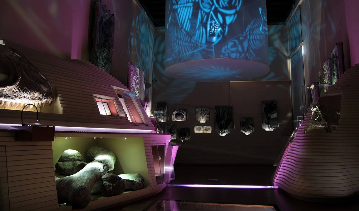 Семейный отдых в Венеции: Музей естественной истории