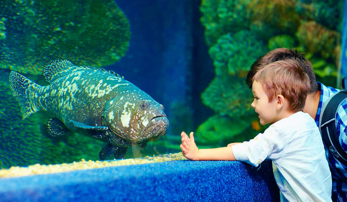 детские маршруты: дюссельдорф фото 7