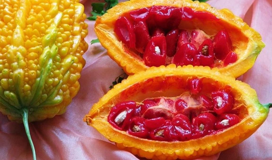 необычные фрукты россии: момордика