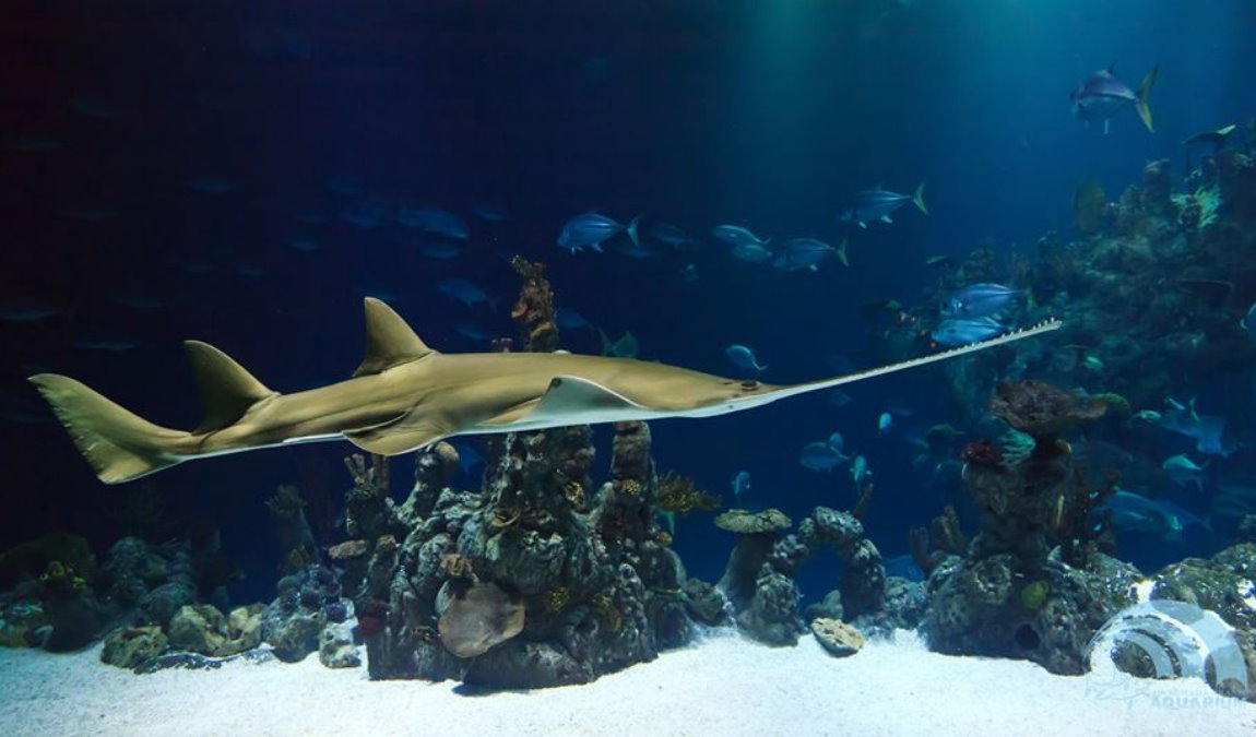 Экскурсионный отдых в Хургаде в декабре