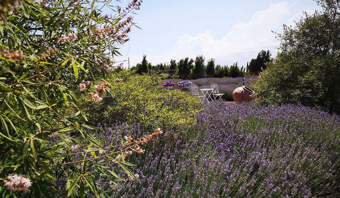 кипр в июле: чистые краски лета фото 7