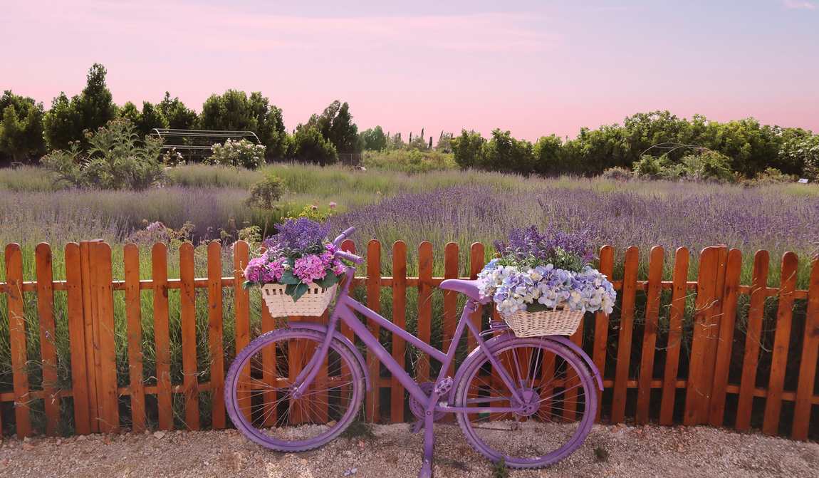 кипр в мае: остров, где рождается лето фото 7