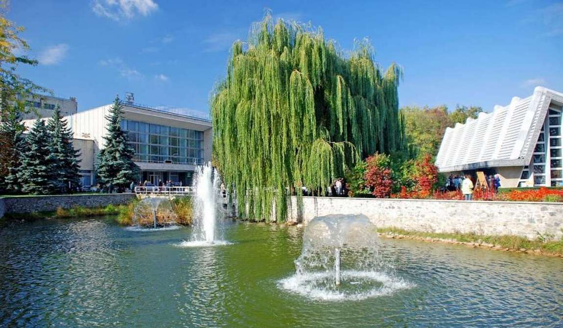 отдых с детьми в августе {kidyear}: дни, наполненные летом фото 24