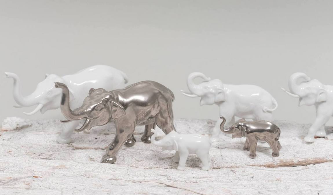 Сувениры из Вены: Фарфор Augarten