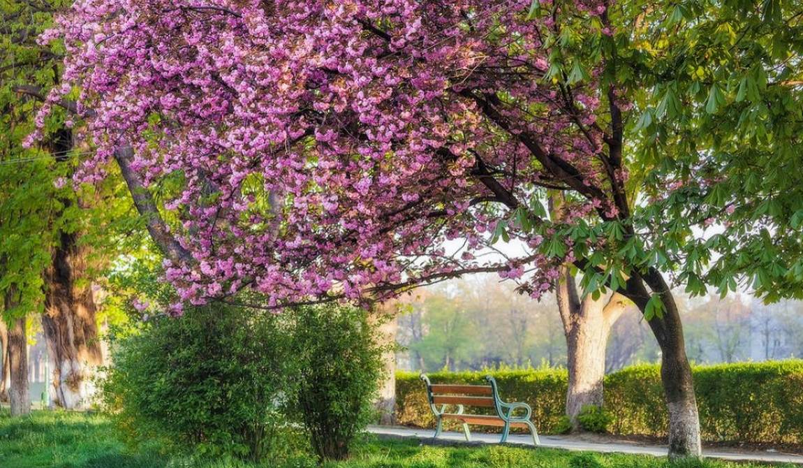 отдых с детьми в апреле {kidyear}: путешествия как витаминки фото 26