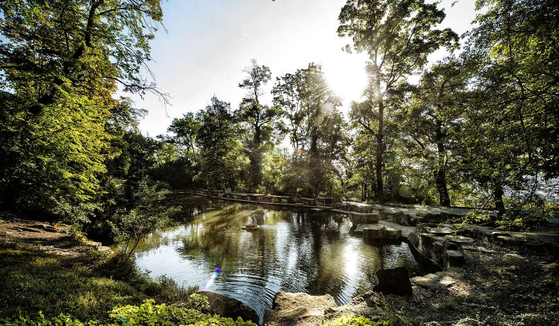 парки и сады праги для отдыха с детьми фото 2