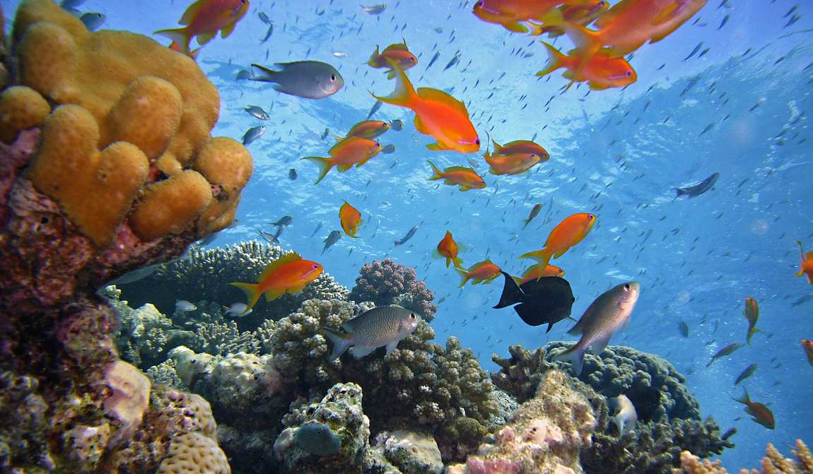 шарм-эль-шейх в апреле: теплые объятия египта фото 3