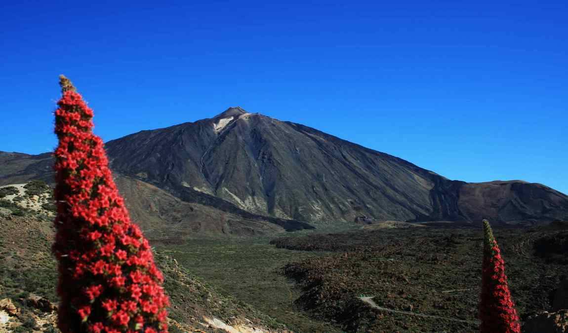 Семейные развлечения на Тенерифе: Национальный парк Тейде