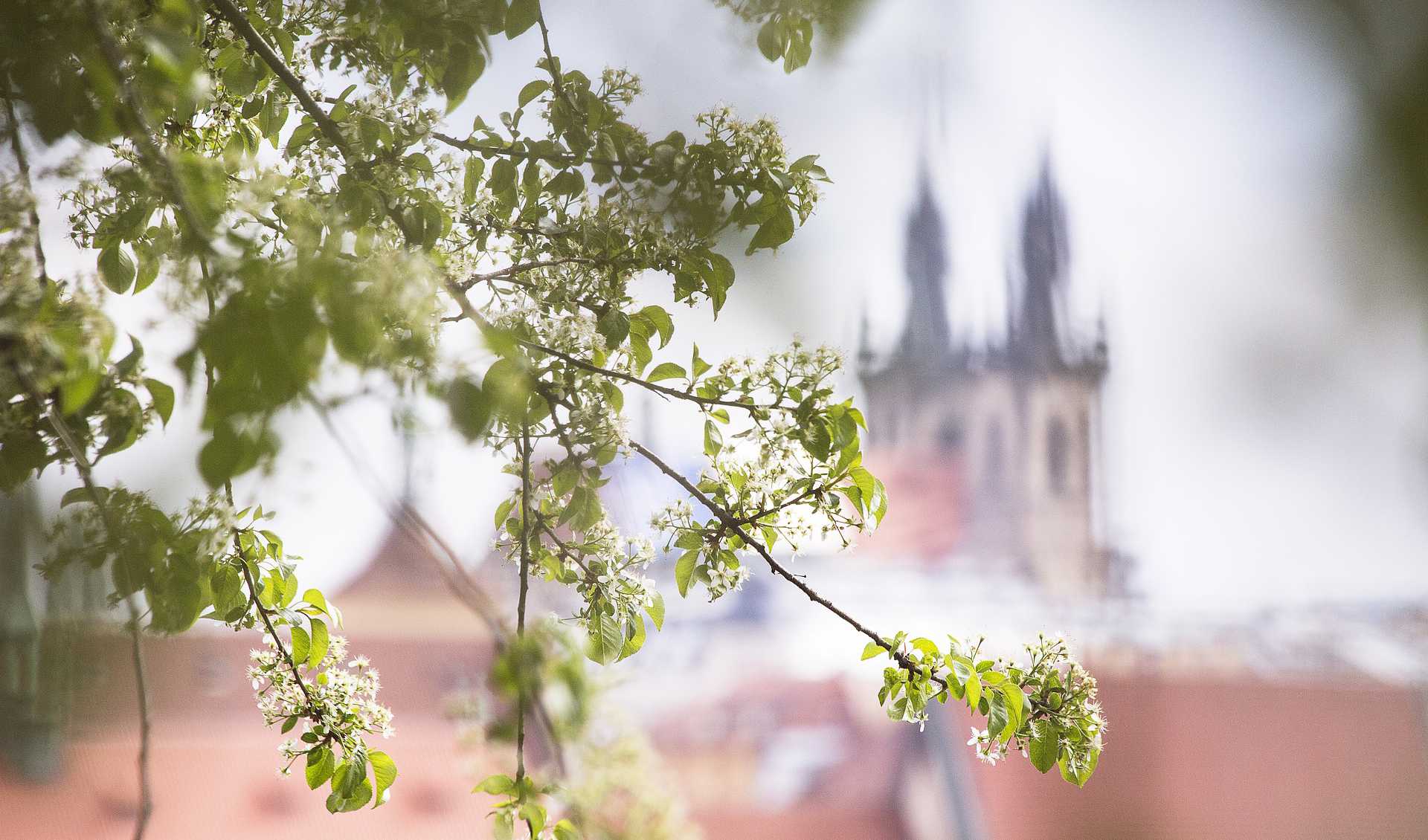 Прага в апреле: бесконечная юность старинного города