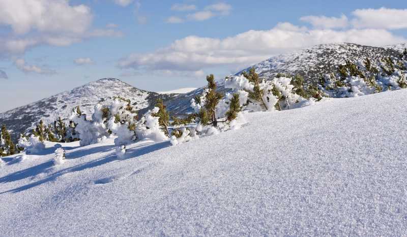 Боровец фото 3