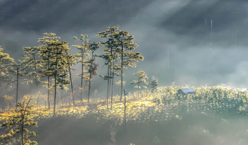 <span class=kid-textflex>Далат</span>