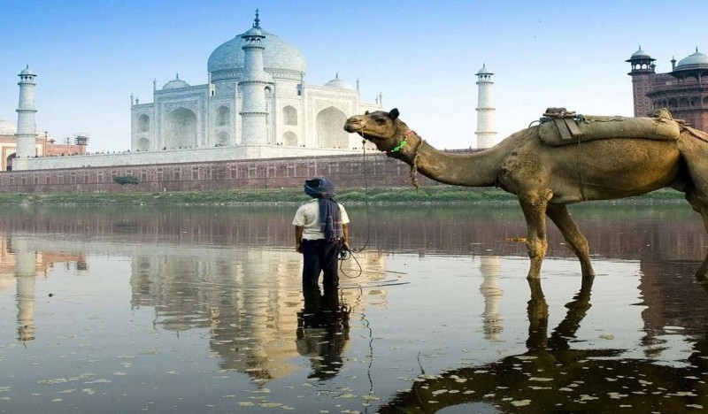 <span class=kid-textflex>Дели</span>