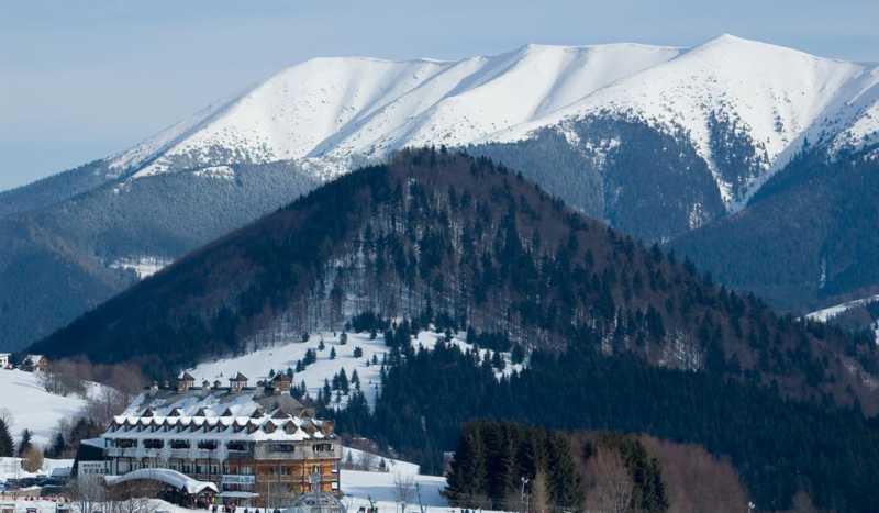 Доновалы фото 3