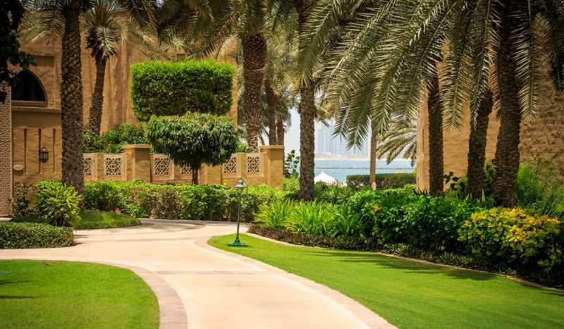 Дубай фото 3