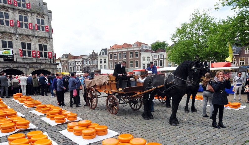 <span class=kid-textflex>Гауда</span>