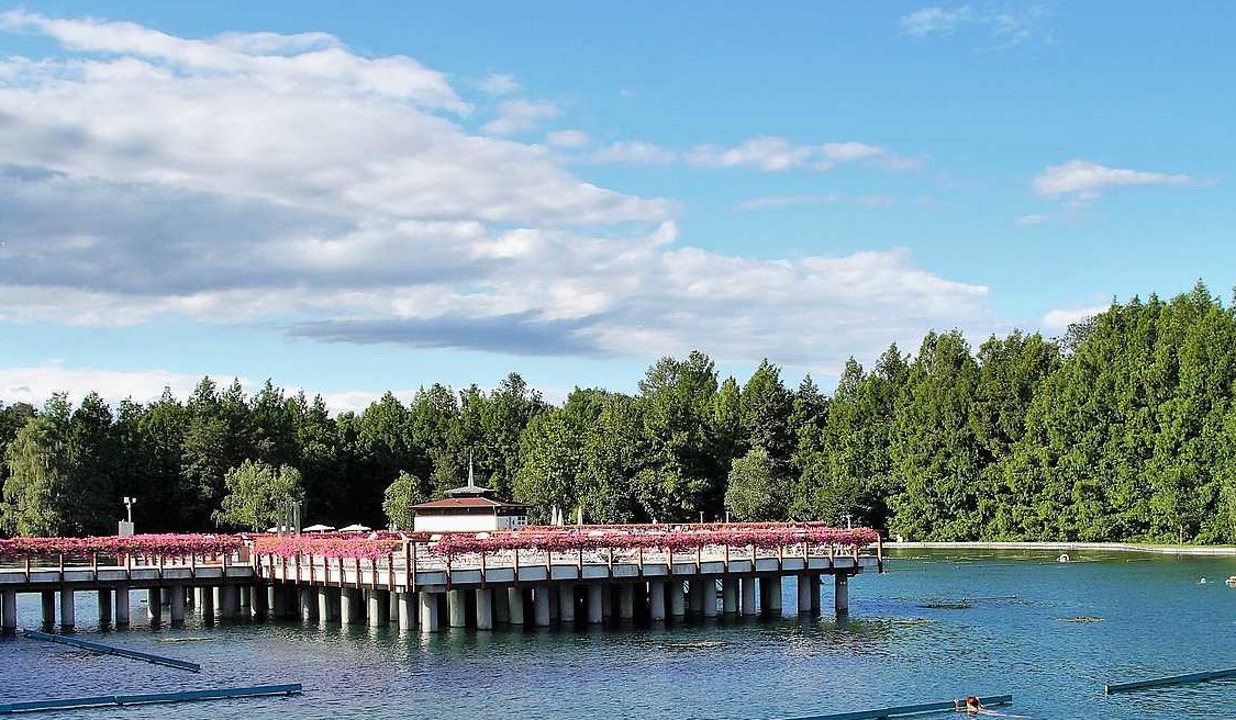 Хевиз фото 3