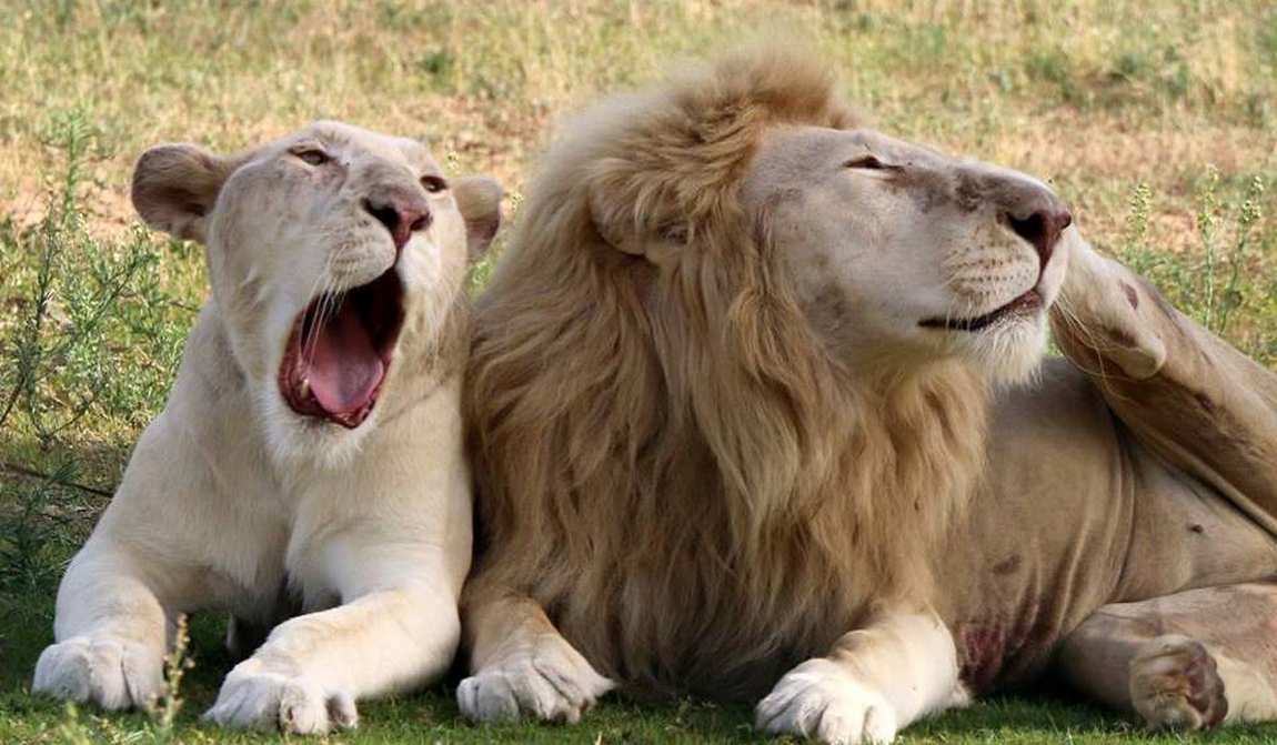 детские маршруты: дубай фото 6