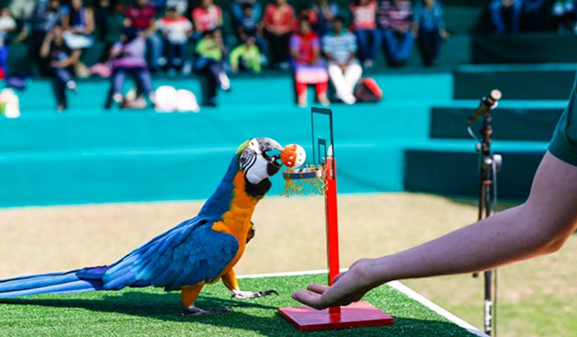 детские маршруты: дубай фото 3