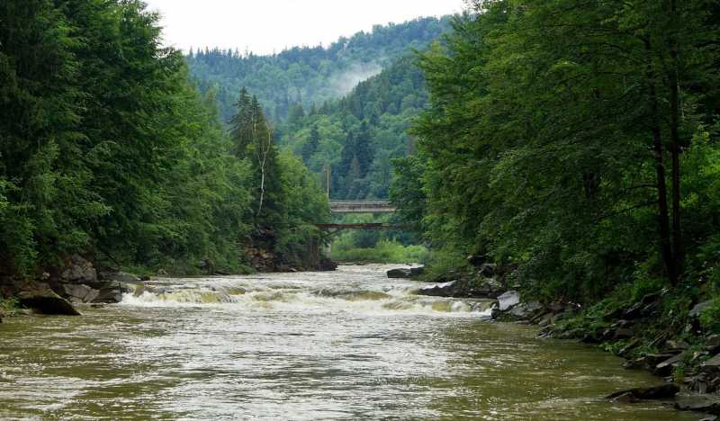 Карпаты фото 3