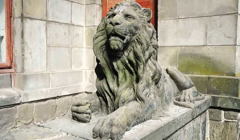 Львов фото 3