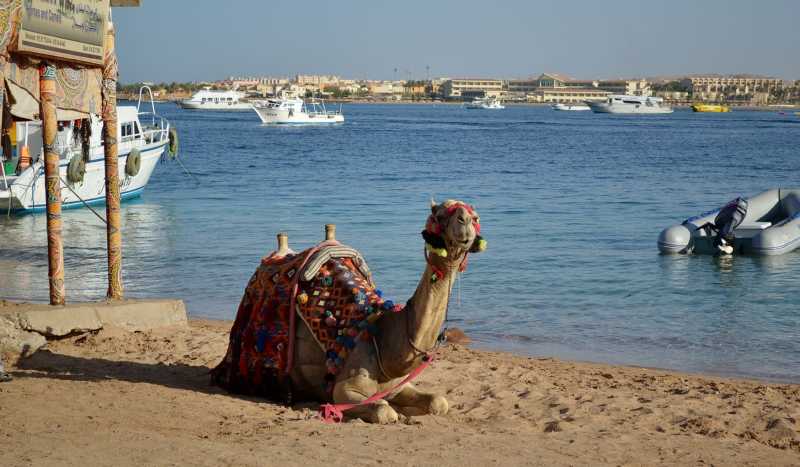 Макади Бей фото 3