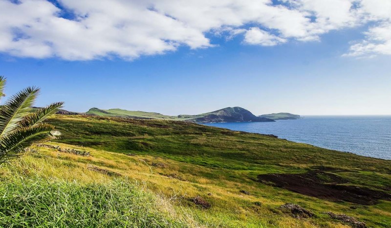 <span class=kid-textflex>Мадейра</span>