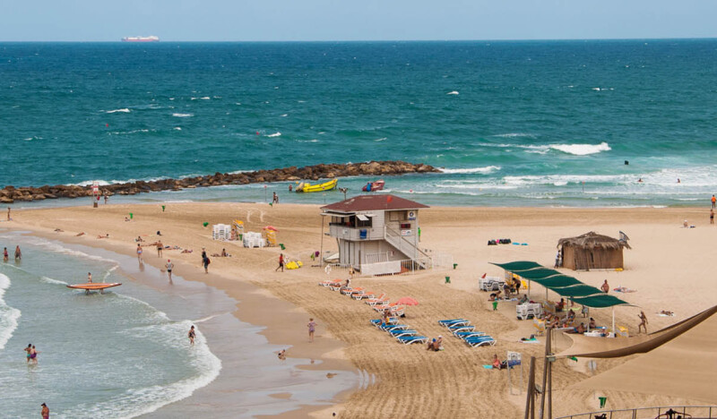 <span class=kid-textflex>Нетания</span>