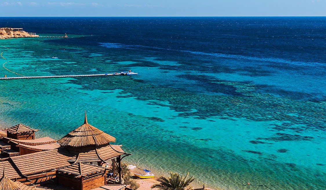 Сафага фото 3