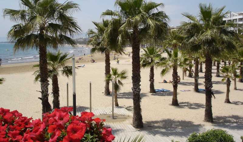 Салоу фото 3