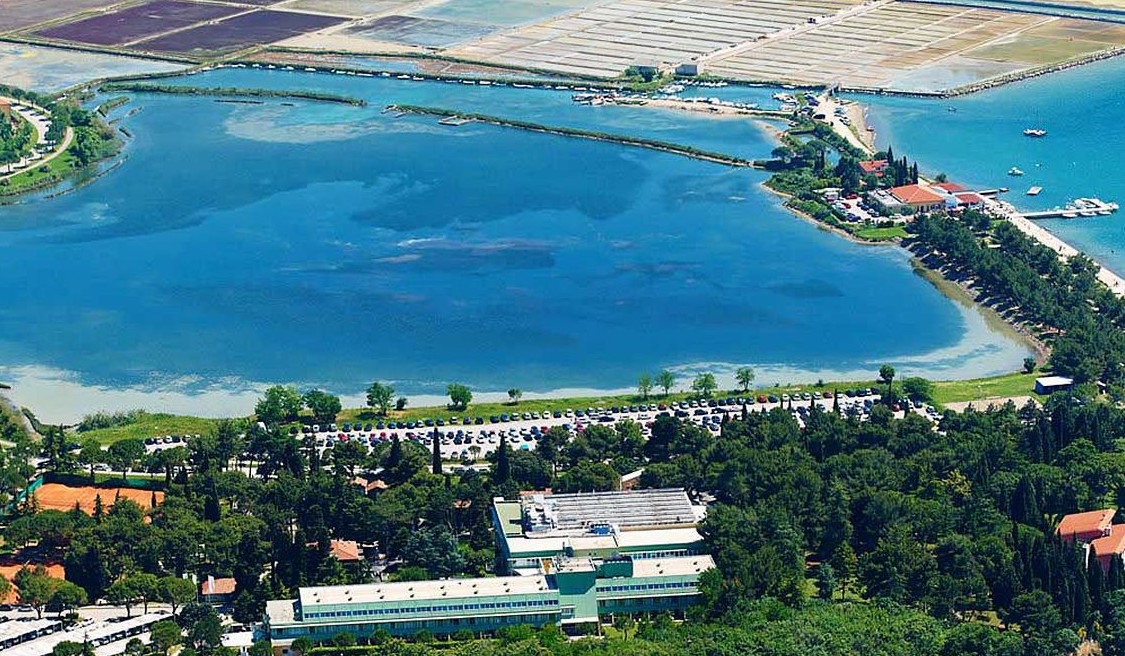 Талассо Струньян фото 2