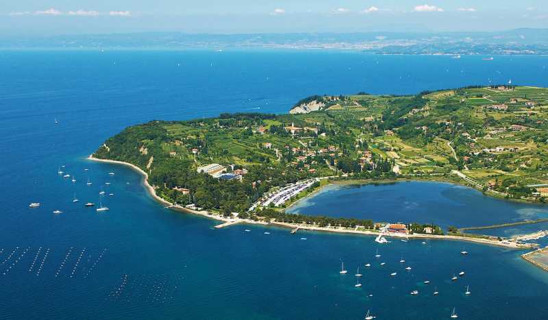 Талассо Струньян фото 3