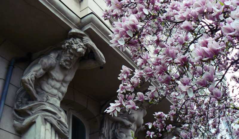 Вроцлав фото 2