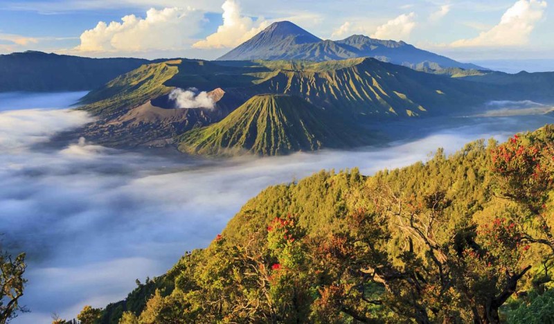 <span class=kid-textflex>Ява</span>