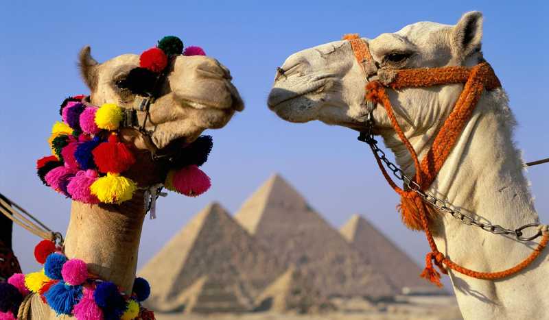 Египет фото 3