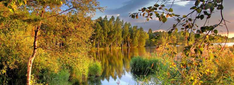 <span class=kid-textflex></span>